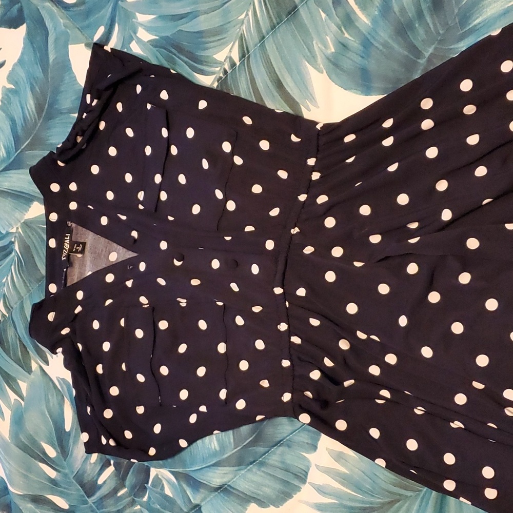 Polka Dot Skater Dress